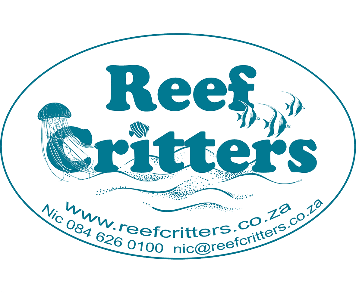 Reef Critters (Pty) Ltd - 111 Main Service Road, Kibler Park, Johannesburg